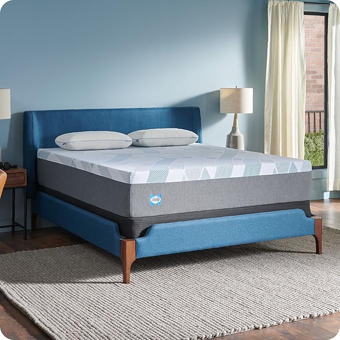 Sealy Dreamlife 12” Foam Mattress-in-a-Box, Twin, SealyComfort Gel Memory Foam, SealySupport Transition Foam, Surface-Guard Technology