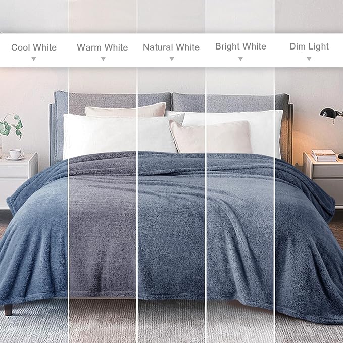 Exclusivo Mezcla Queen Size Blanket for Bed, Super Soft Velvet Plush Fleece Blankets, Fuzzy Cozy and Warm for Winter, 90x90 Inches, Stone Blue