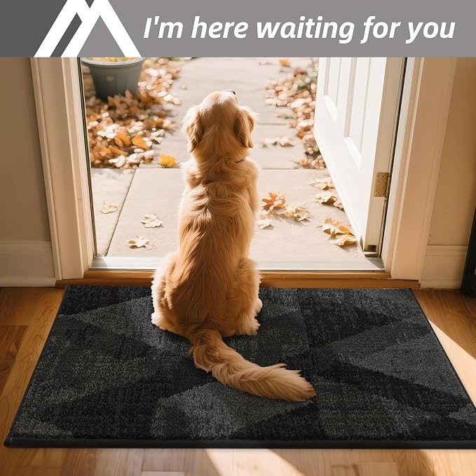 COSY HOMEER Entryway Rugs Doormat 20"x32", Non-Slip Absorbent Polyester, Washable Rugs for Front Door, Dirty Paws & High Traffic Areas, Dark Gray - Image 9