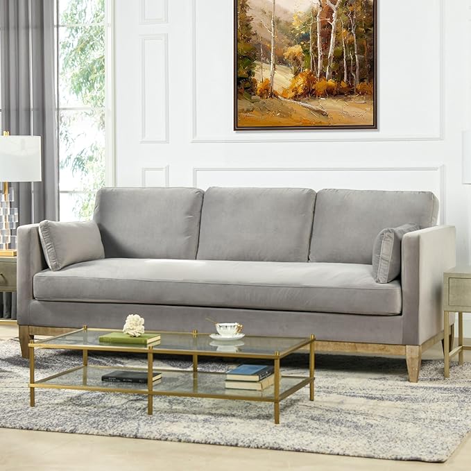 Jennifer Taylor Home Knox 84" Modern Farmhouse Velvet Living Room Sofa Couch