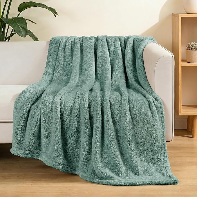 Exclusivo Mezcla Soft Fleece Throw Blanket for Couch, Super Soft Velvet Plush Fleece Blankets, Fuzzy Cozy and Warm for Winter, 50x60 Inches, Celadon