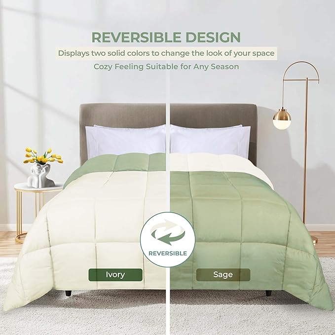 Superior Brushed Microfiber Comforter, Down Alternative Bedding, Medium Weight, Soft Bed Cover, Plush Duvet Insert, Oversized Blanket, Box Quilt, Reversible Comforter, Twin, Ivory-Sage