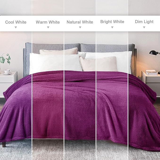 Exclusivo Mezcla Twin Size Blanket for Bed, Super Soft Velvet Plush Fleece Blankets, Fuzzy Cozy and Warm for Winter, 60x80 Inches, Purple
