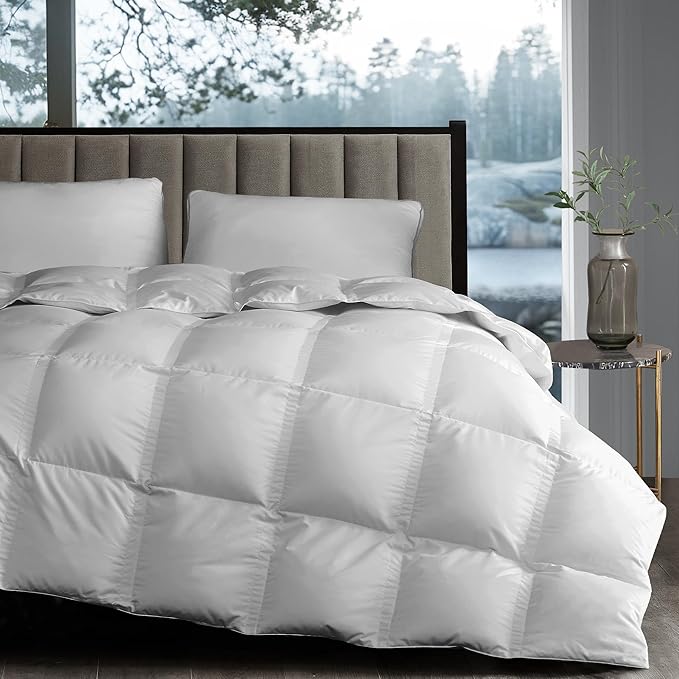 Hotel Grand White Goose Down Fiber Comforter Queen Size, Luxury Hotel Collection Comforter Duvet Insert Queen with Corner Loops, 2.5cm Breathable Panel for Summer and Hot Sleeper, 90'' x 90''