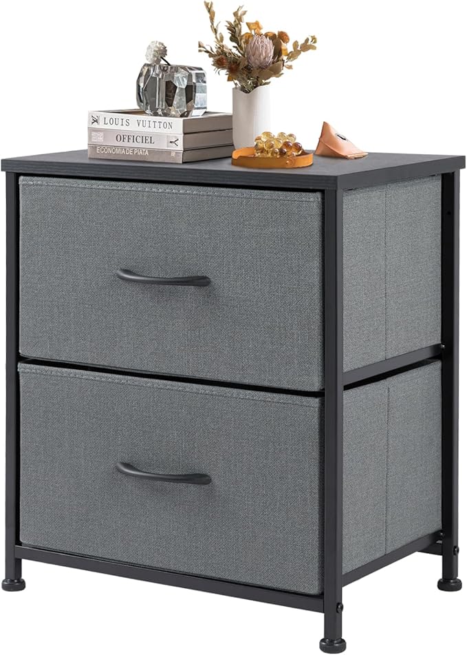 DUMOS Nightstand Small Dresser with 2 Fabric Drawers Side Bedroom End Table Kids Bedside Storage Furniture for 20 inch Tall Night Stand for Closet, Entryway, College Dorm, Ash by DumosLifestyle