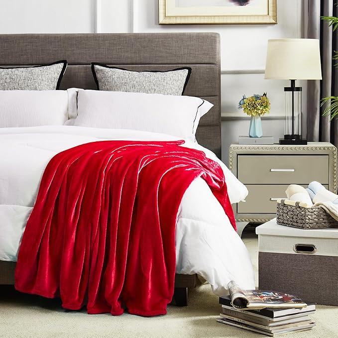 DREAMNINE Ultra Large Soft Fuzzy Flannel Fleece Blanket Full Size 80" x 90", Decorative Solid Lightweight Fluffy Velvet Bed Blanket, Luxury Big Cute Cozy Shag Plush Microfiber Blankets for Bedroom,Red