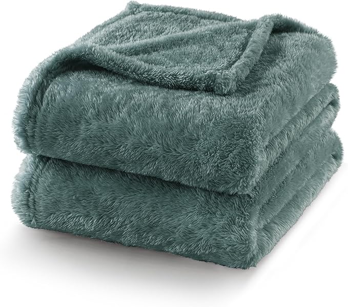 Exclusivo Mezcla Plush Fuzzy Fleece Bed Blanket Twin Size, Super Soft, Fluffy and Warm Blankets for Couch, Bed, All Season (Celadon, 90x66 inches)