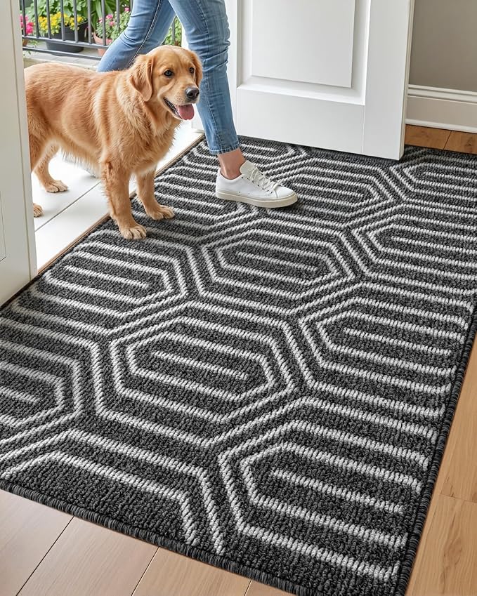 DEXI Front Door Mats for Entryway, 3x5 Non Slip Washable Low-Profile Entry Doormat, Absorbent Resist Dirt Inside Floor Entrance Mat, Patio, Black by DEXI