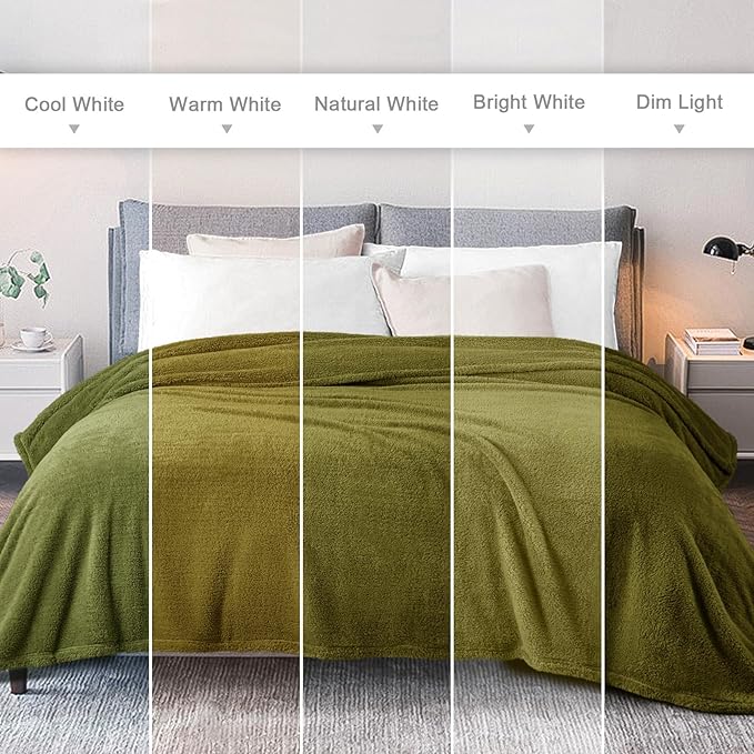Exclusivo Mezcla Queen Size Blanket for Bed, Super Soft Velvet Plush Fleece Blankets, Fuzzy Cozy and Warm for Winter, 90x90 Inches, Olive Green