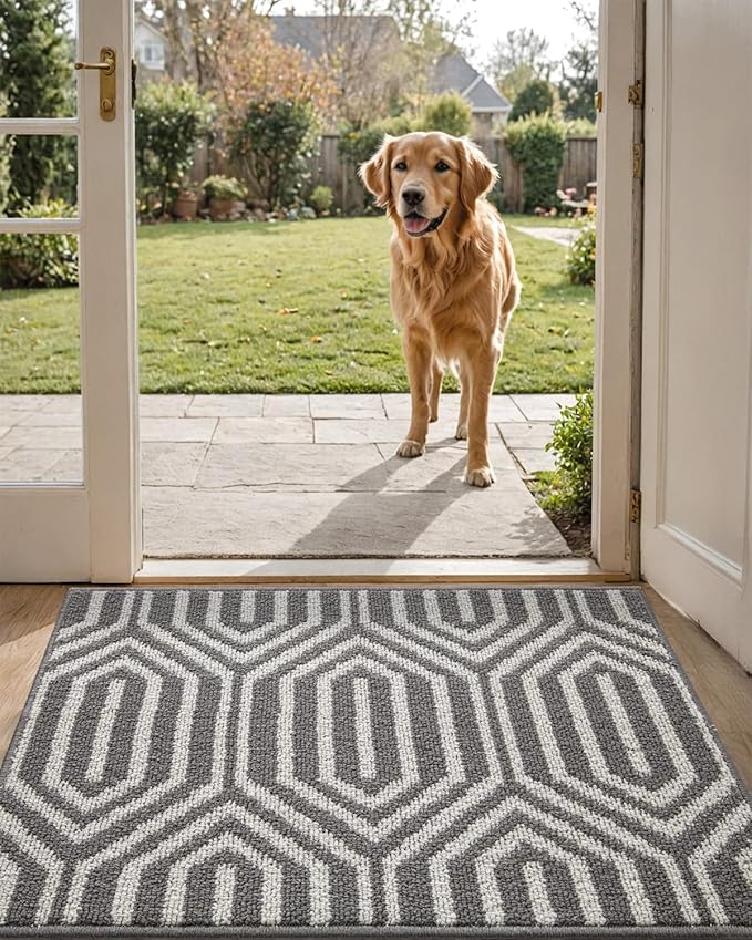 DEXI Front Door Mats for Entryway, 2x3 Non Slip Washable Low-Profile Entry Doormat, Absorbent Resist Dirt Inside Floor Entrance Mat, Patio, Grey by DEXI