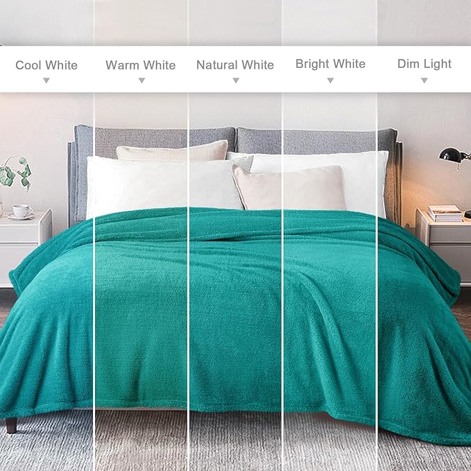 Exclusivo Mezcla Soft Fleece Throw Blanket for Couch, Super Soft Velvet Plush Fleece Blankets, Fuzzy Cozy and Warm for Winter, 50x60 Inches, Teal