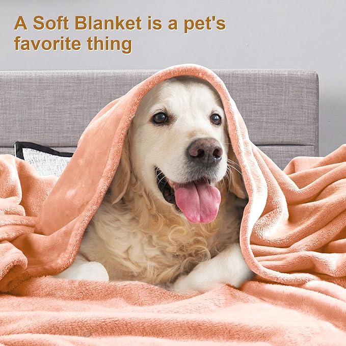 DREAMNINE Pack of 21 Fuzzy Soft Fleece Throw Blanket for Couch Sofa 50" x 60", Decorative Solid Lightweight Velvet Blankets for Chair, Cozy Accent Shaggy Plush Flannel Blanket for Bedroom, Peach