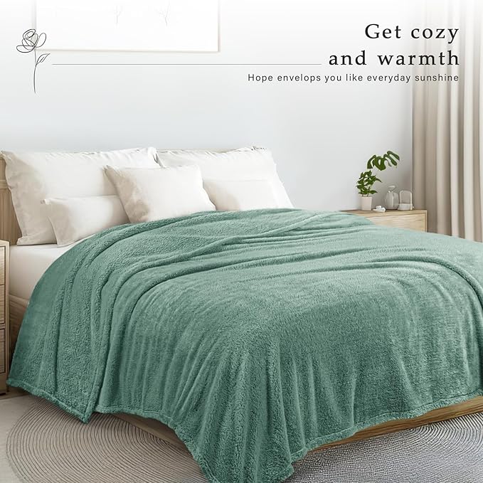 Exclusivo Mezcla Queen Size Blanket for Bed, Super Soft Velvet Plush Fleece Blankets, Fuzzy Cozy and Warm for Winter, 90x90 Inches, Celadon