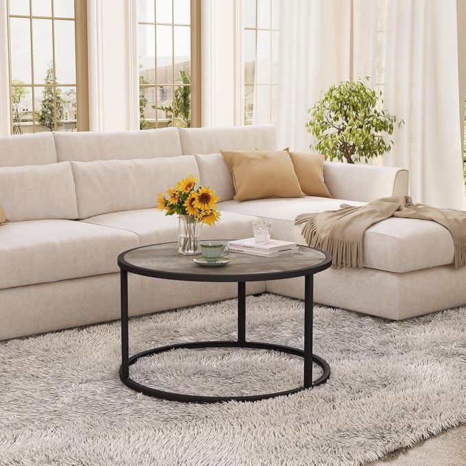 SAYGOER Small Round Coffee Table, Modern Coffee Tables for Living Room, Simple Center Table for Small Space Home Office Gardern, 27.6 × 27.6 × 17.7inch, Grey Wash