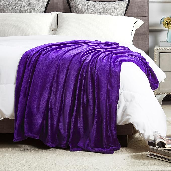DREAMNINE Super Soft Fuzzy Fleece Throw Blanket for Couch Sofa 50" x 60",Decorative Solid Lightweight Velvet Blanket for Chair, Cozy Accent Shaggy Micro Plush Flannel Blankets for Bedroom Dorm, Purple