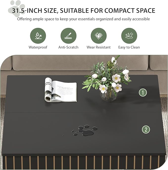 Square Coffee Table with Storage, 31.5" Hollow Cube Coffee Table, 2-Tier Mid-Century Modern Center Table with Arched Cutouts & Carved Lines for Living Room, Cat-Friendly Base (Black)