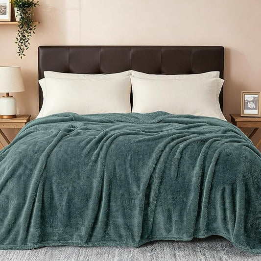 Exclusivo Mezcla Plush Fuzzy Fleece Bed Blanket Queen Size, Super Soft, Fluffy and Warm Blankets for Couch, Bed, All Season (Celadon, 90x90 inches)