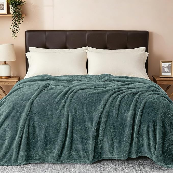 Exclusivo Mezcla Plush Fuzzy Fleece Bed Blanket Twin Size, Super Soft, Fluffy and Warm Blankets for Couch, Bed, All Season (Celadon, 90x66 inches)