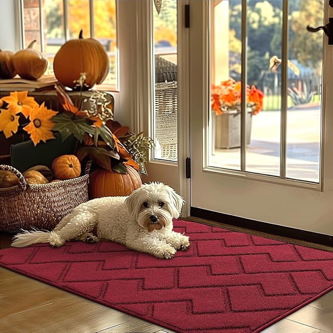 hicorfe Indoor Door Mat,Non Slip Door Mats,32"x48" Front Back Door Mat Rubber Backing,Absorbent Resist Dirt Entrance Inside Floor Mats for Entryway Washable Low-Profile(Red) by Hicorfe