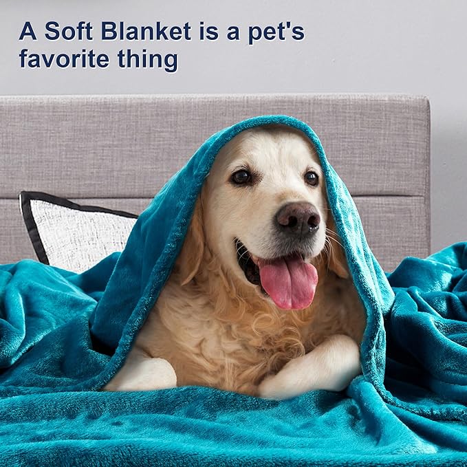 DREAMNINE Extra Large Fleece Blanket Soft Comfy Fluffy Bed Blankets King Size 90" x 108",Luxury Decorative Fuzzy Blanket for Women Girl,Big Cozy Shaggy Warm Flannel Blankets for Winter Autumn Pet,Teal
