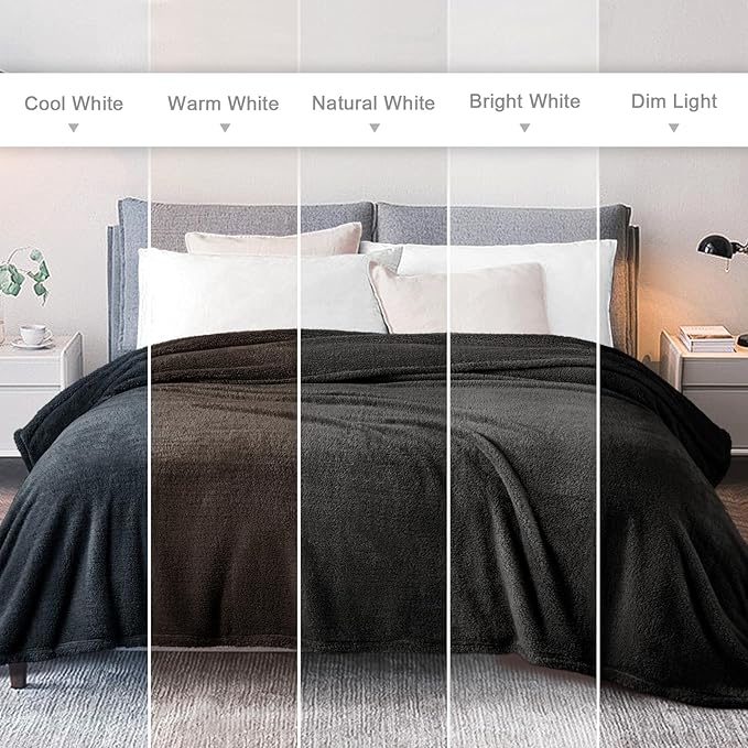 Exclusivo Mezcla Queen Size Blanket for Bed, Super Soft Velvet Plush Fleece Blankets, Fuzzy Cozy and Warm for Winter, 90x90 Inches, Dark Grey