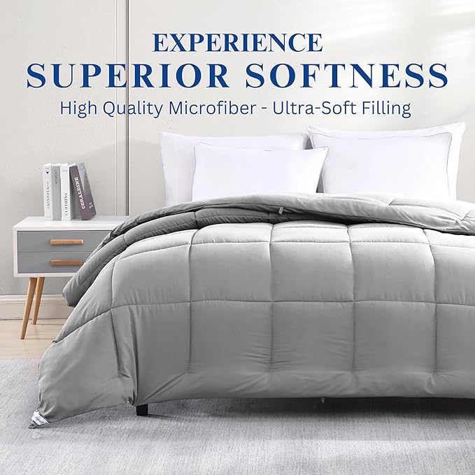 Casa Platino Quilted Comforter Queen Size - Super Soft Duvet Insert with 8 Tabs - Fluffy, Comfy & Cozy All Season Queen Bedding Comforter - Down Alternative Premium Bed Comforters - 88"x88", Silver