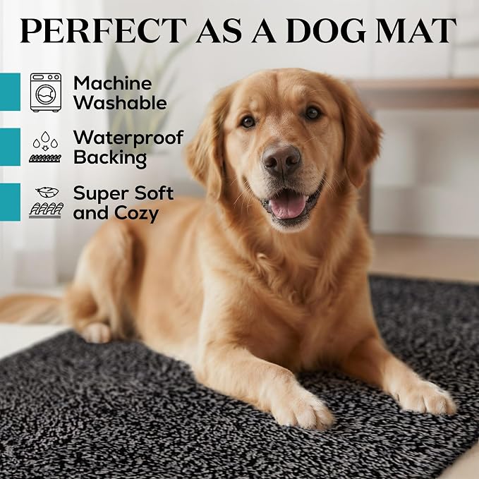 Premium Microfiber Indoor Door Mat – 24"x36" Washable Entry Mat, Non-Slip, Waterproof Backing, Super Absorbent, Low Profile Entryway Doormat for Indoor Entrance - Image 2