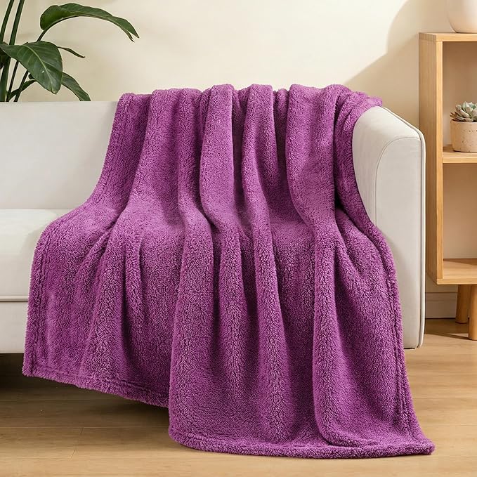 Exclusivo Mezcla Soft Fleece Throw Blanket for Couch, Super Soft Velvet Plush Fleece Blankets, Fuzzy Cozy and Warm for Winter, 50x60 Inches, Purple