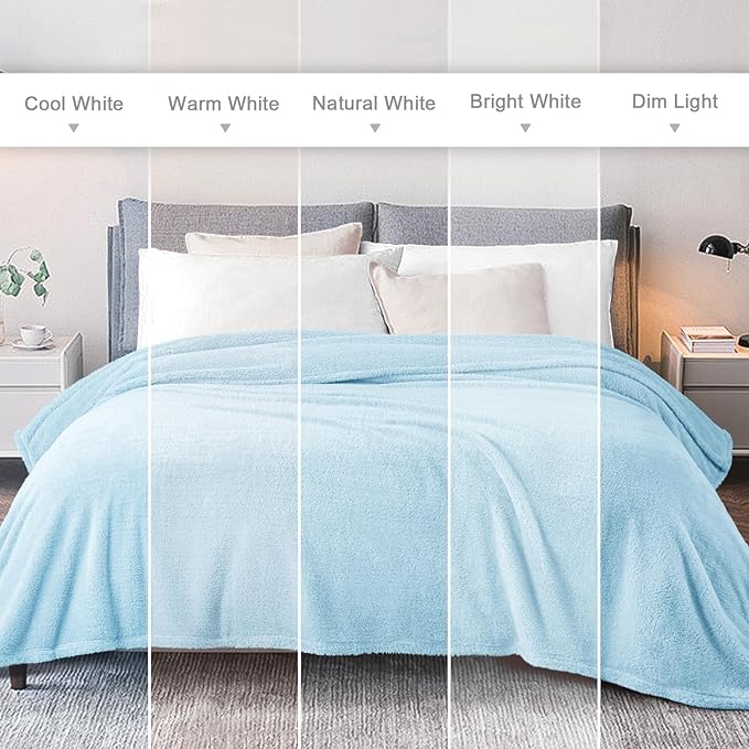 Exclusivo Mezcla Soft Fleece Throw Blanket for Couch, Super Soft Velvet Plush Fleece Blankets, Fuzzy Cozy and Warm for Winter, 50x60 Inches, Light Blue