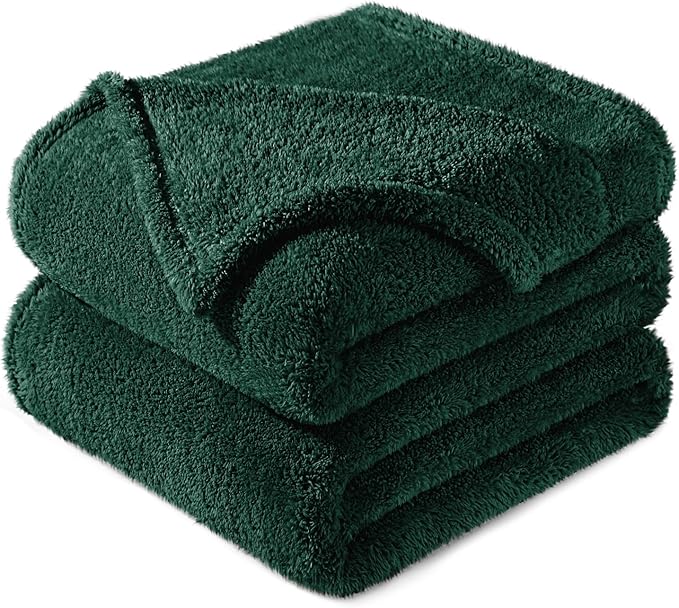 Exclusivo Mezcla Queen Size Blanket for Bed, Super Soft Velvet Plush Fleece Blankets, Fuzzy Cozy and Warm for Winter, 90x90 Inches, Forest Green