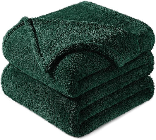 Exclusivo Mezcla Queen Size Blanket for Bed, Super Soft Velvet Plush Fleece Blankets, Fuzzy Cozy and Warm for Winter, 90x90 Inches, Forest Green