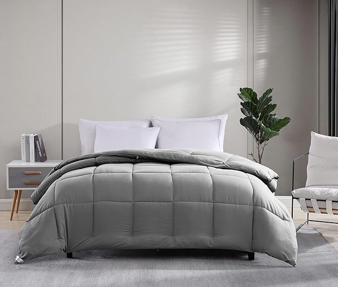 Casa Platino Quilted Comforter Queen Size - Super Soft Duvet Insert with 8 Tabs - Fluffy, Comfy & Cozy All Season Queen Bedding Comforter - Down Alternative Premium Bed Comforters - 88"x88", Silver