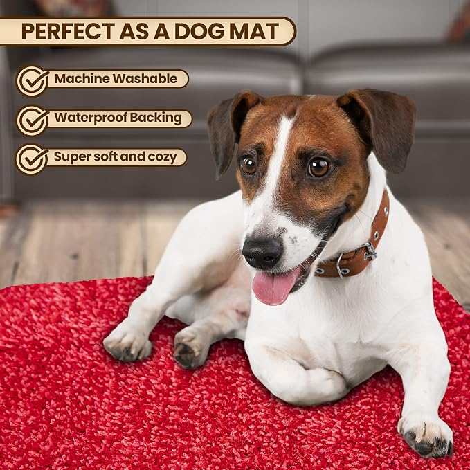 Premium Microfiber Indoor Door Mat – 36"x72" Washable Entry Mat, Non-Slip, Waterproof Backing, Super Absorbent, Low Profile Entryway Doormat for Indoor Entrance - Image 2