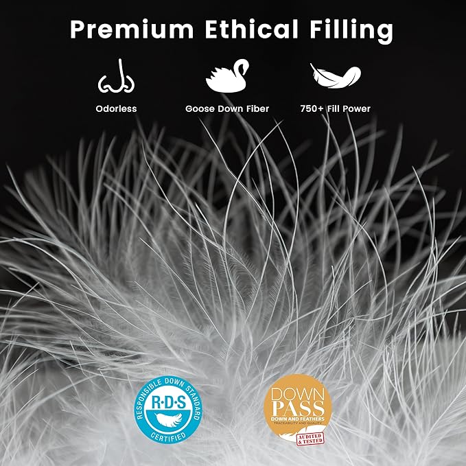 Goose Feather Down Fiber Comforter Queen Size, All Season Duvet Insert, 750+FP Hotel Bed Comforter, Ultra Soft 100% Organic Cotton Fabric, 90x90 Inches