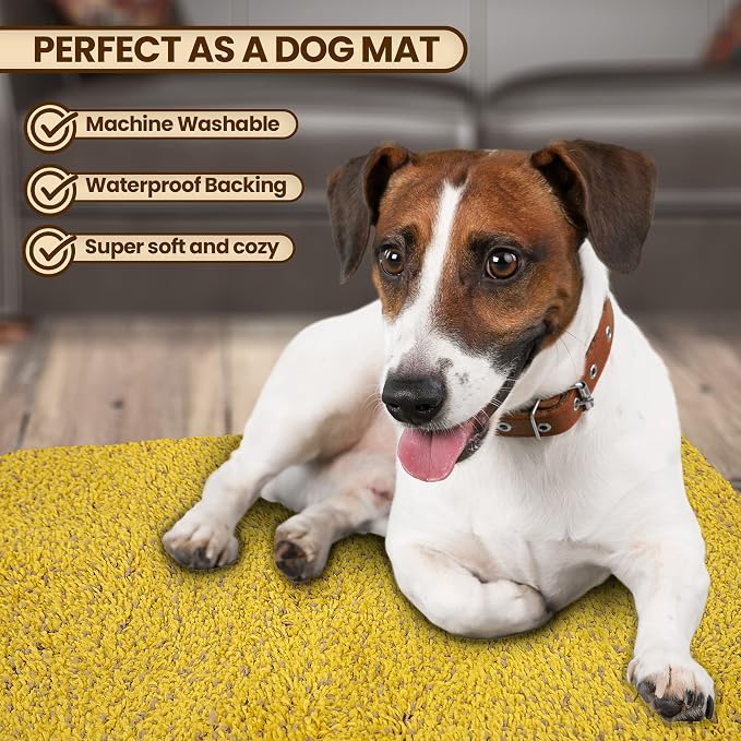 Premium Microfiber Indoor Door Mat – 36"x72" Washable Entry Mat, Non-Slip, Waterproof Backing, Super Absorbent, Low Profile Entryway Doormat for Indoor Entrance - Image 2