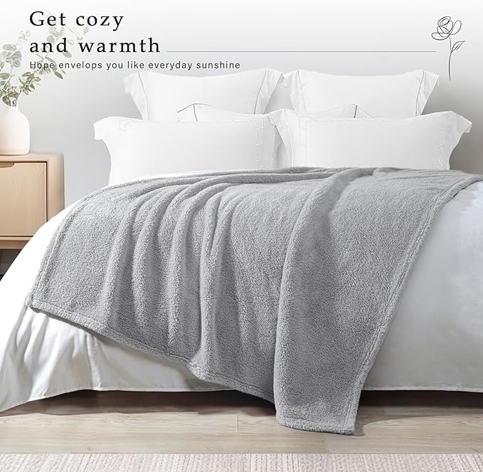 Exclusivo Mezcla Soft Fleece Throw Blanket for Couch, Super Soft Velvet Plush Fleece Blankets, Fuzzy Cozy and Warm for Winter, 50x60 Inches, Light Grey