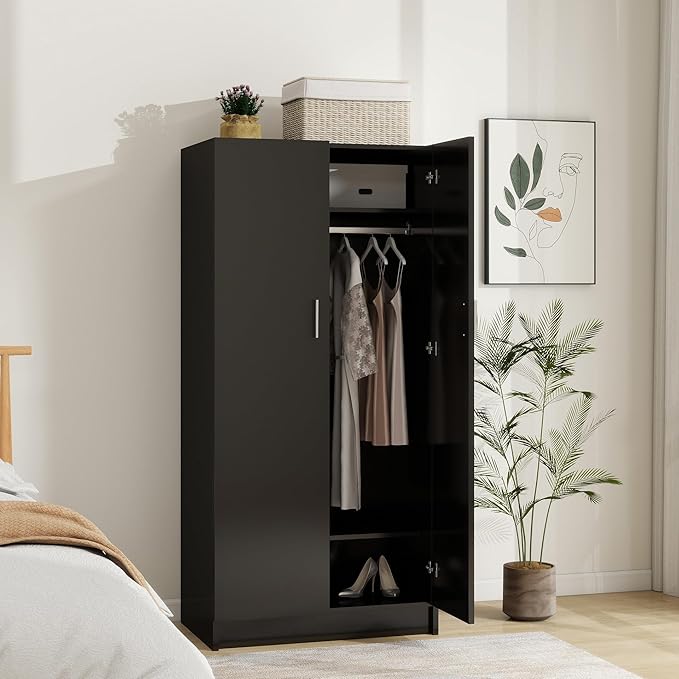 Panana 2 Door Wardrobe Closet Bedroom Armoires with 2 Shelves Storage, Hanging Rail for Bedroom (Black)