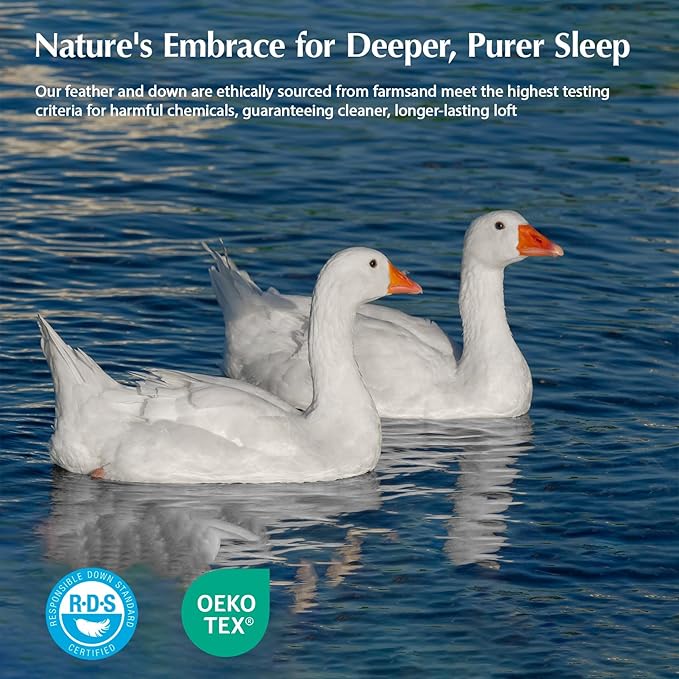 PACIFIC COAST Goose Down Fiber Comforters Oversized King Duvet Insert, All Season White Comforter, 3D Hidden-Stitch Baffle Box Design, 8 Tabs, Gifts for Women/Men, Extra Fluffy Luxury Duvet (116"x98")