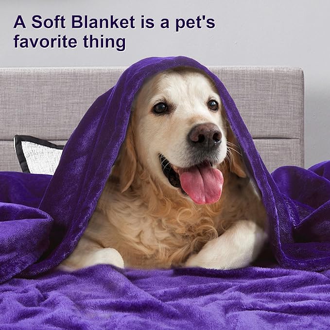 DREAMNINE Extra Large Soft Comfy Fluffy Fleece Bed Blanket Full Size 80" x 90", Luxury Huge Decorative Fuzzy Blanket for Bedroom, Big Cozy Shaggy Warm Flannel Blankets for Winter Autumn Pet, Purple