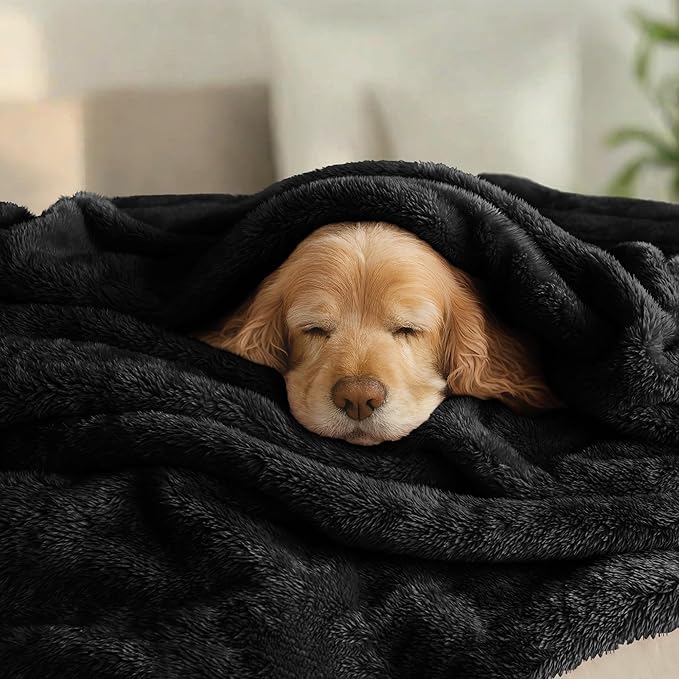 Exclusivo Mezcla Plush Fuzzy Fleece Bed Blanket King Size, Super Soft, Fluffy and Warm Blankets for Couch, Bed, All Season (Black, 90x104 inches)