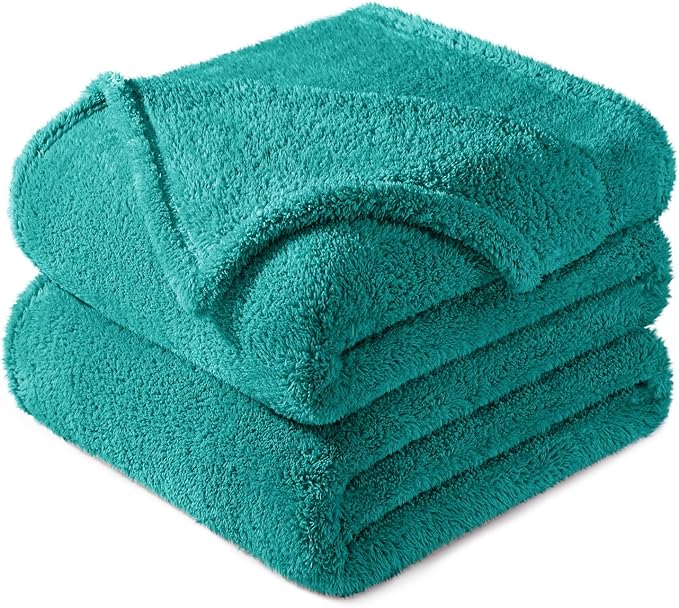 Exclusivo Mezcla Queen Size Blanket for Bed, Super Soft Velvet Plush Fleece Blankets, Fuzzy Cozy and Warm for Winter, 90x90 Inches, Teal