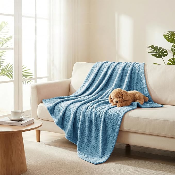 Exclusivo Mezcla Soft Fleece Throw Blanket for Couch, Cozy Lightweight Blankets with Decorative Wave Textured Suitable for All Season Use, Slate Blue, 50x70 Inches