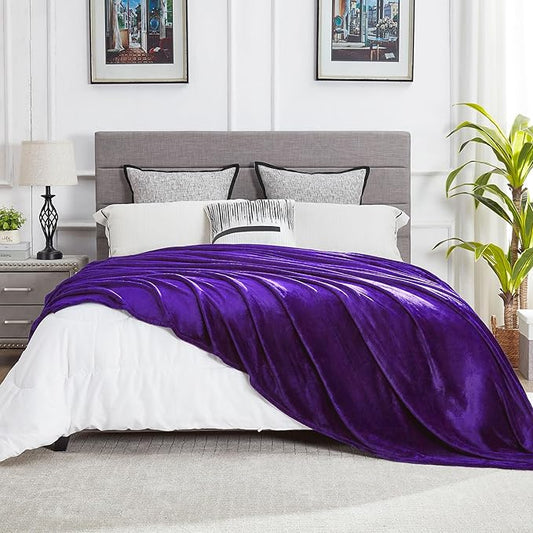 DREAMNINE Oversized Soft Fuzzy Fleece Throw Blanket Twin Size 60" x 80",Decorative Large Solid Lightweight Velvet Bed Blanket,Big Cute Cozy Accent Shaggy Microfiber Flannel Blankets for Bedroom,Purple