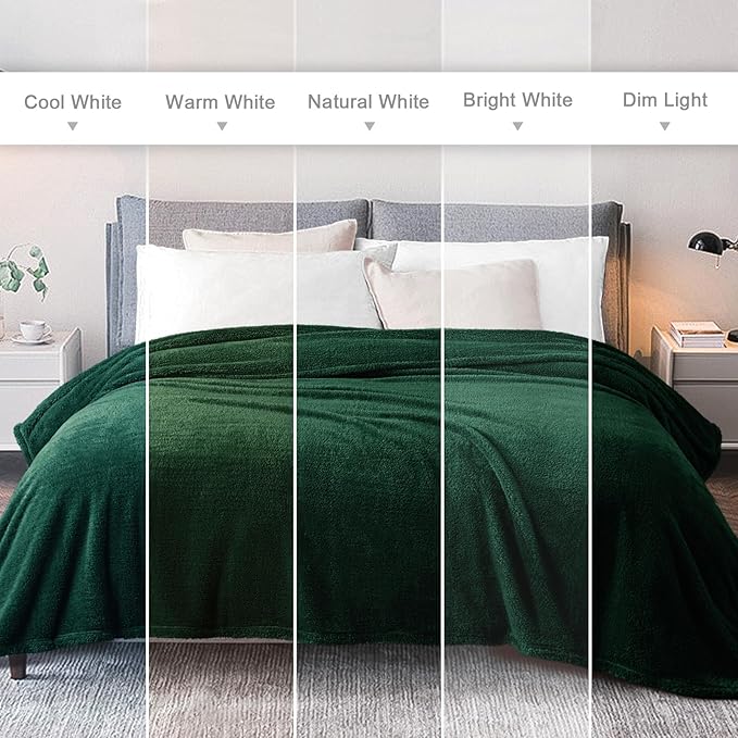 Exclusivo Mezcla Queen Size Blanket for Bed, Super Soft Velvet Plush Fleece Blankets, Fuzzy Cozy and Warm for Winter, 90x90 Inches, Forest Green