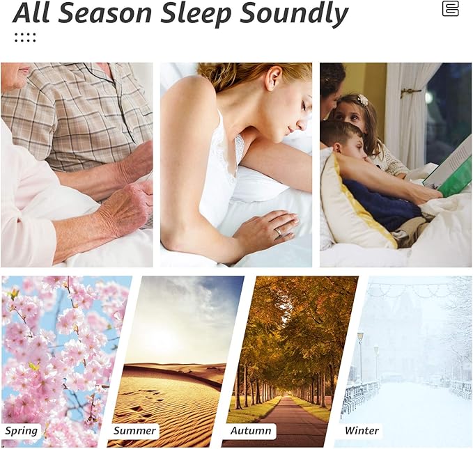 HYLEORY All Season Queen Size Bed Comforter - Cooling Goose Down Alternative Quilted Duvet Insert with Corner Tabs - Winter Warm - Machine Washable - White