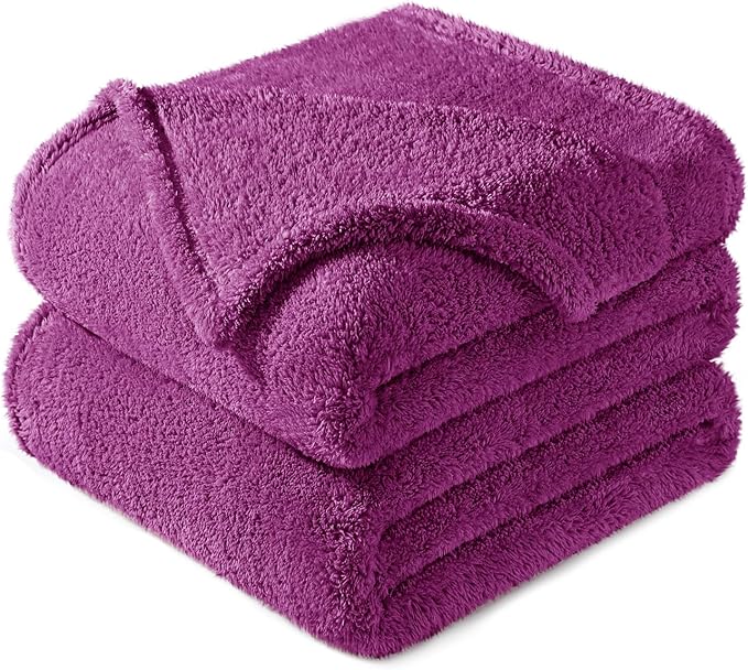 Exclusivo Mezcla Twin Size Blanket for Bed, Super Soft Velvet Plush Fleece Blankets, Fuzzy Cozy and Warm for Winter, 60x80 Inches, Purple