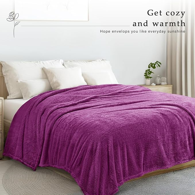 Exclusivo Mezcla King Size Blanket for Bed, Super Soft Velvet Plush Fleece Blankets, Fuzzy Cozy and Warm for Winter, 90x104 Inches, Purple