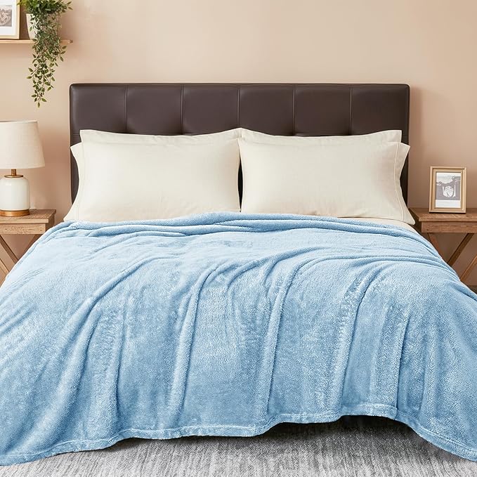 Exclusivo Mezcla Plush Fuzzy Fleece Bed Blanket Twin Size, Super Soft, Fluffy and Warm Blankets for Couch, Bed, All Season (Light Blue, 90x66 Inches)