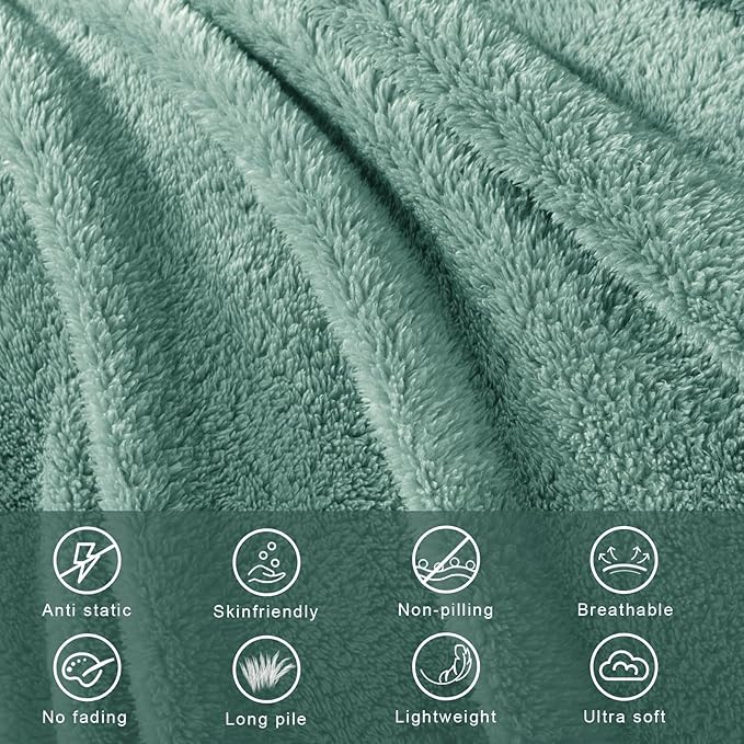 Exclusivo Mezcla Soft Fleece Throw Blanket for Couch, Super Soft Velvet Plush Fleece Blankets, Fuzzy Cozy and Warm for Winter, 50x60 Inches, Celadon