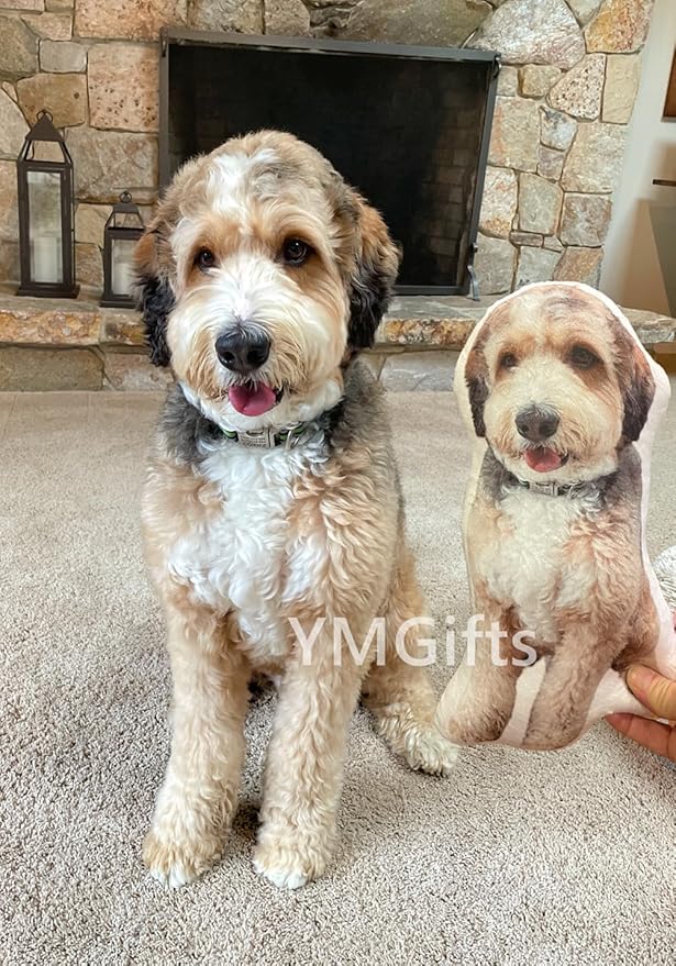 Picture Pillow Custom Pet Pillow Dog Pillows Gift, 1 Count (Pack of 1)